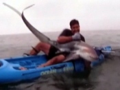 Caught on tape: Man wrestles shark
