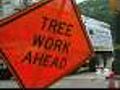 Hot Weather Could Have Led To Tree Tragedy