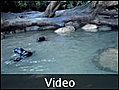 4 Seal Movie - Abel Tasman National Park, New Zealand
