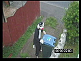 Cat bin woman lampooned