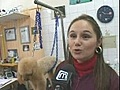 Nîmes: Toilettage,  Tout pour mon chien !