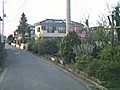 いつもの道(1)