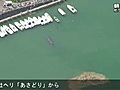 クジラ「救出作戦」再開、動かず１時間で中止　和歌山