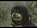 Man&#039;s best friend (extrait)