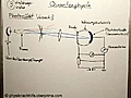 Quantenphysik (3) Photoeffekt