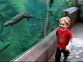 Boy Races Otter at San Diego Zoo