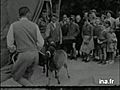 LA FETE DU CHEVAL A AVRANCHES