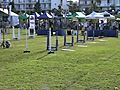 Flyball GC2009 Race31 Tarlee and Kimba Vs Banjo and Delta