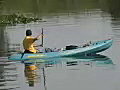 Royalty Free Stock Video SD Footage Kayak at Holiday Park in the Everglades in Florida