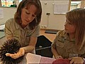 My Favourite Place: Bindi Irwin