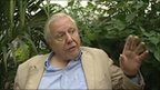 VIDEO: Attenborough’s butterfly call