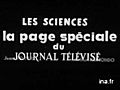 [Rémy Chauvin : les sociétés d&#039;insectes]