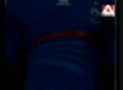 parodie equipe de france  new Lose