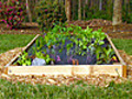 Build A Raised Vegetable Bed