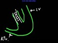 A to Z in ecg arabic lesson 2