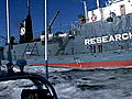 Whale Wars: Whalers Packing a Rifle?