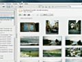 Picasa beginner’s studies - Getting creative with your photos