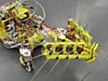 Robotic rat developed for disaster rescues