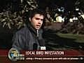 320. Unlucky news reporter - BestofYouTube.com