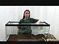 How to Set Up a Snake Enclosure