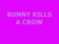 Bunny kills a crow