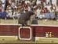 Bull Jumps Into Stands In Spain