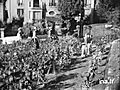 VENDANGES SUR LA BUTTE MONTMARTRE