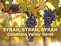 Syrah: WA Gems