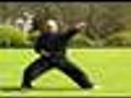 Tai Chi Combat Vol. 1 - Part 1 - video