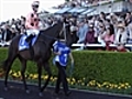 Scenic Shot wins Doomben Cup