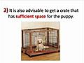 Easy Steps to Puppy Crate Training