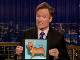 Conan O’brien: Dog