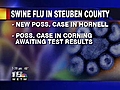 Update on Swine Flu in Steuben County