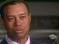 Tiger Woods Apologizes On Web Site