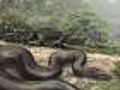 Ancient Fossil Find: This Snake Could Eat a Cow!