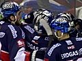 DEL: Eisbären auf Meisterkurs