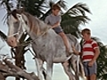 Flipper And The Horse Thieves