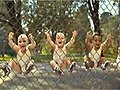 Funny Babies Rollerblading