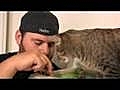 How To Make a MEAN KITTY Love U!