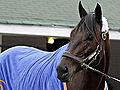 Uncle Mo Won’t Go in Kentucky Derby