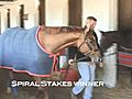 Courier-Journal looks at Derby winner Animal Kingdom