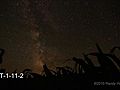 Milky Way over corn