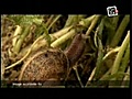 A La Bonne Heure ! Bienvenue à la ferme