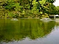 河底池