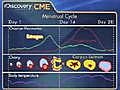 CME: Hormone Therapy Options part 1