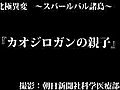 〈北極異変〉カオジロガン