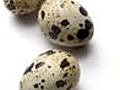 How To Cook With Quail Eggs