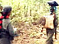 Women Maoists allege rape,  exploitation in cadres