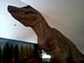 dinosauro nel museo