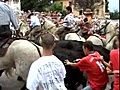 La feria devient tradition en Bresse